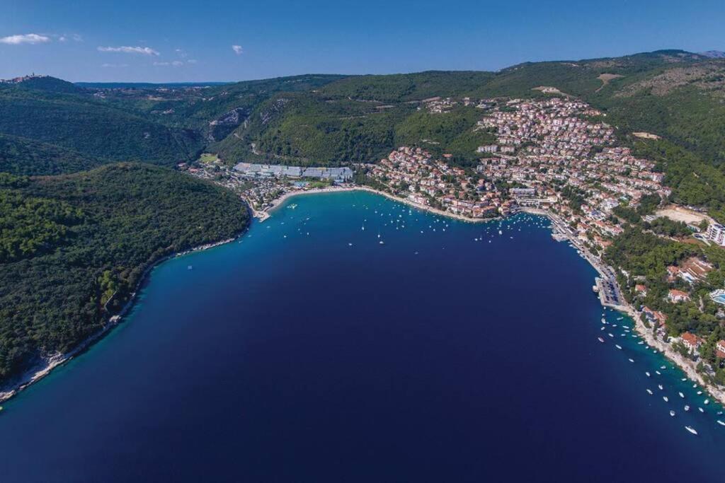 Adorable Holiday House Lilla-With Pool-Near Old Town Labin Labin  Kültér fotó